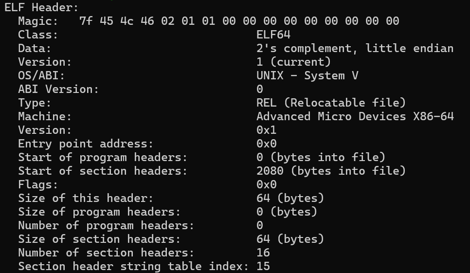 ELF Header.png